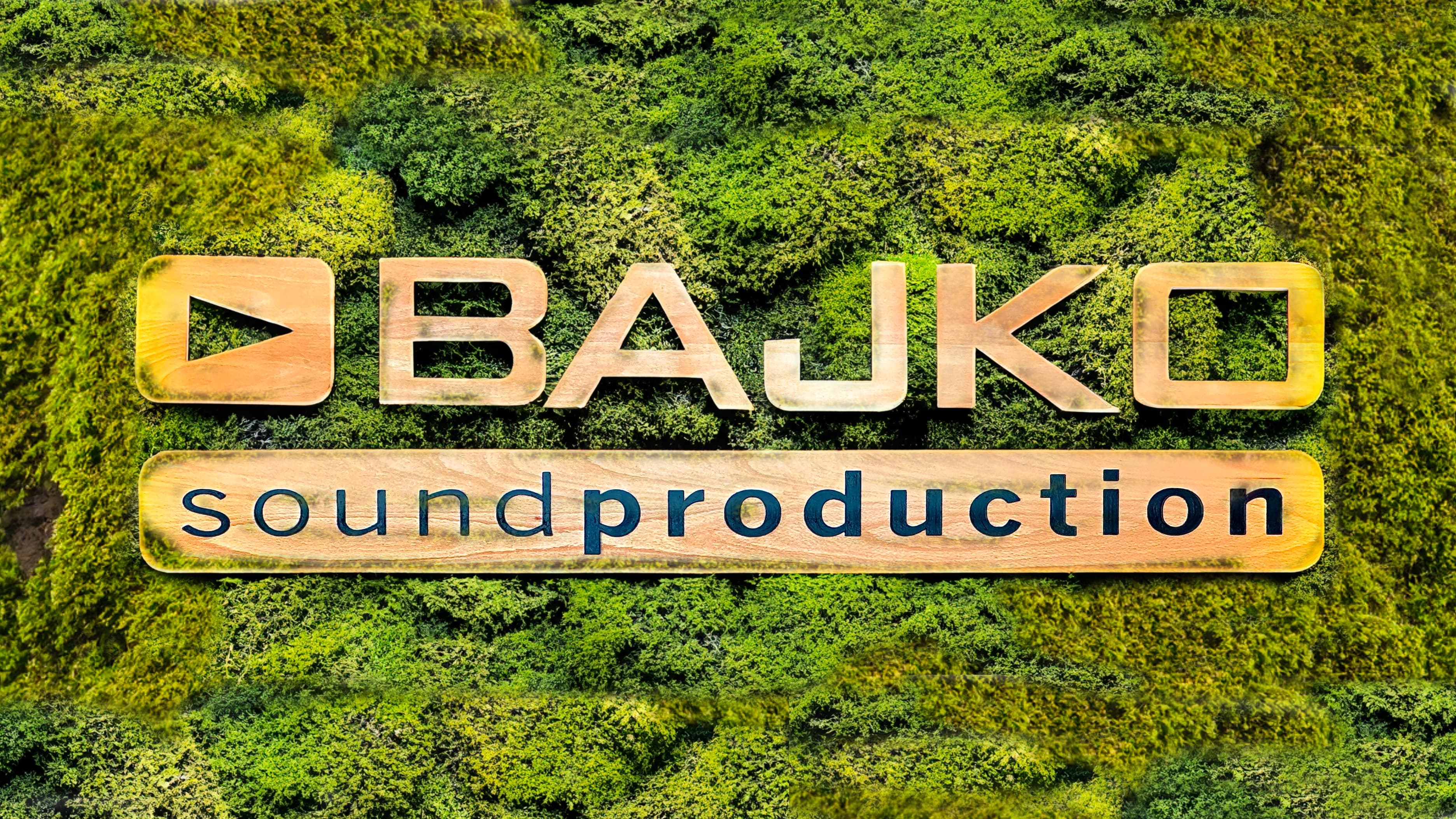 Vladimír BAJKO Bajnoci's banner